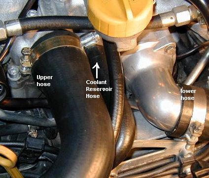 Radiator hose leak lower