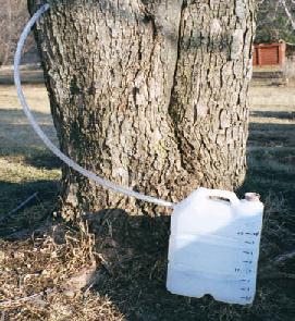 2.5 Gallon water jug