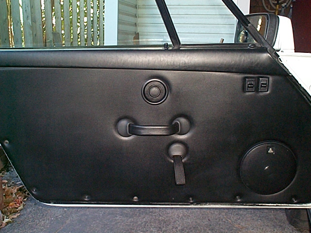 RS America door panel